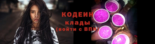 шишки Кулебаки
