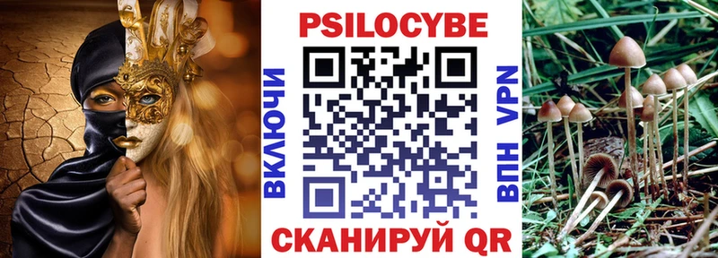 Галлюциногенные грибы MAGIC MUSHROOMS  продажа наркотиков  Мелеуз 