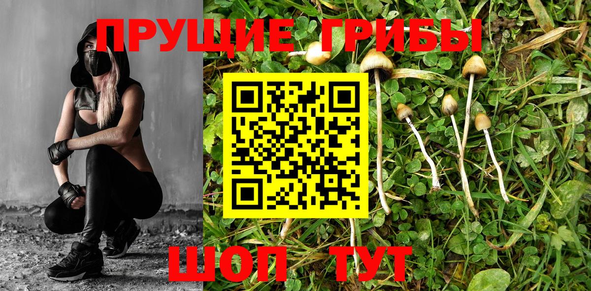 Псилоцибиновые грибы Psilocybine cubensis  Мелеуз  закладки  Псилоцибиновые грибы мухоморы 