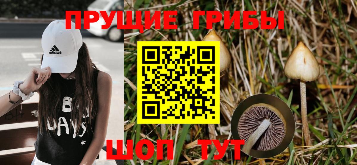 Мелеуз  Псилоцибиновые грибы Magic Shrooms  Вход с VPN  Галлюциногенные грибы Psilocybine cubensis 