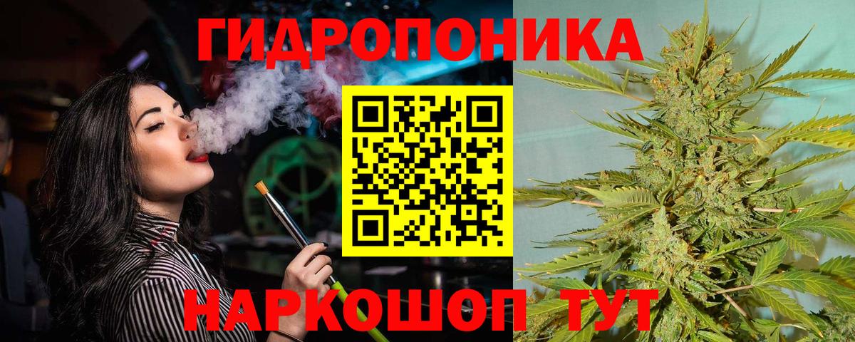 Каннабис Amnesia  Каннабис индика  Мелеуз  Бошки Шишки план  Бошки марихуана Amnesia 